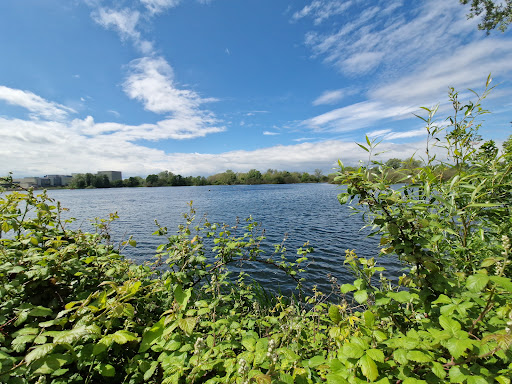 Rushden Lakes Nature Walk