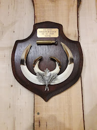 Photo n°15 de Natural'pro à Corbeny (Taxidermiste)