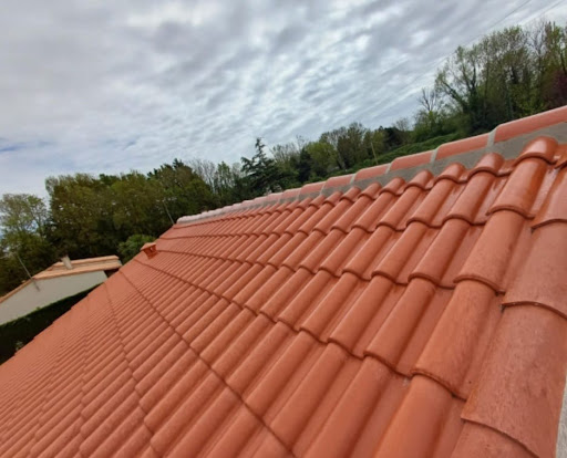 Photo de Pro Toiture 79 - Couvreur zingueur Niort | Ravalement | Charpentier Entretien de toiture Deux-Sèvres 79 Niort à Niort (79000)