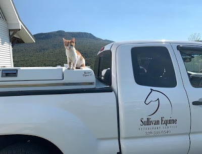 Sullivan Equine Veterinary Service