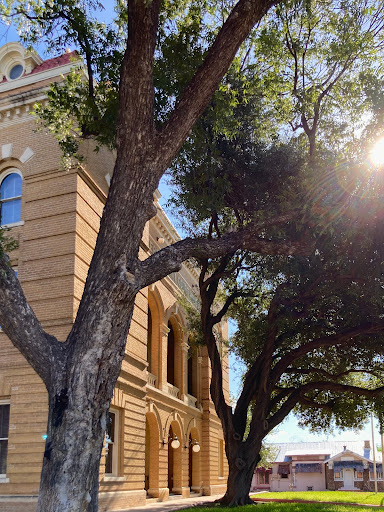 Webb County Courthouse - Visual