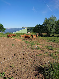 Photo n°3 de Ferme de campserdou à Puivert (Élevage laitier)