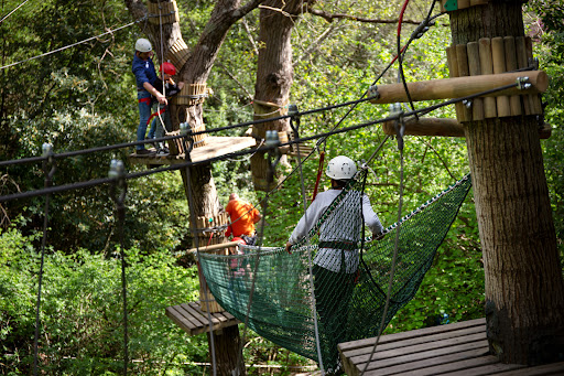 AGRITURISMO COLLE VERTE - Thumbnail
