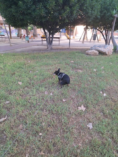 Perchips Park - Visual