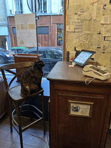 http://www.lecafedeschats.fr/