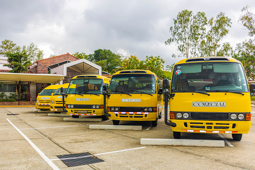 Transporte escolar dg
