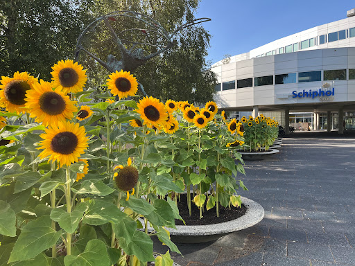Schiphol Building - Thumbnail
