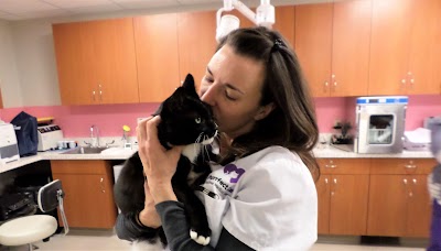 Purrfect Care Feline Medical Center