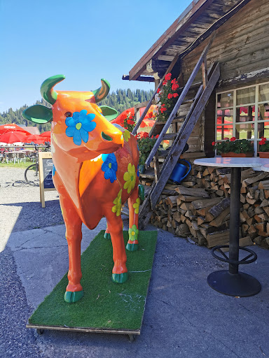 Camperplaats Col des Aravis