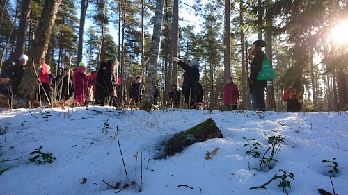 RMK Padise lõkkekoht