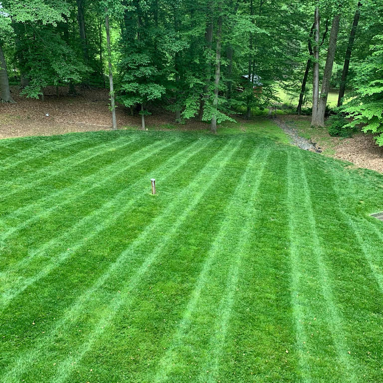 Superior Landscaping and Tree Services Landscaper in Lanham