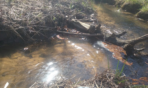 Upper County Park - Thumbnail