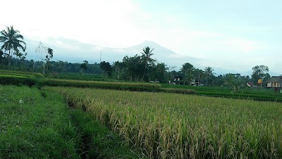 Photos of Pondok Indah Bungalow