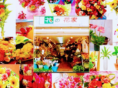 ++ 50 ++ 東 大阪 花屋 296198