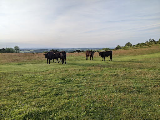 Stockbridge Down - Visual