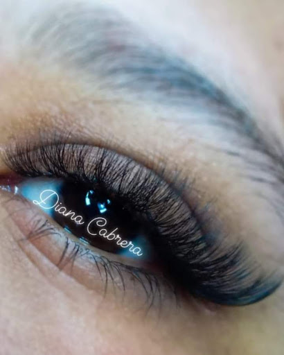 Brows And Lashes DC