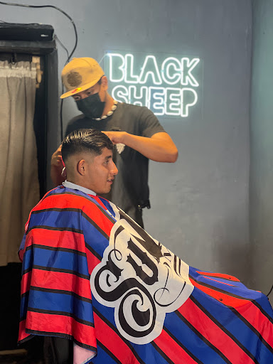 Black Sheep