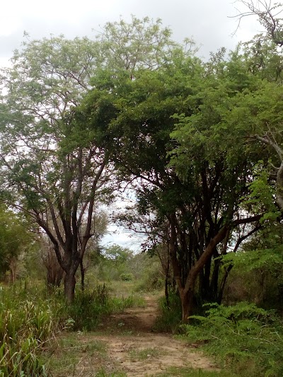 Photos of Wilpattu Holiday Home