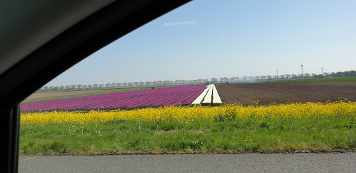 Vaartplas - Visual