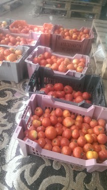 HARAJ vegetables and fruits, Author: Jani Jan