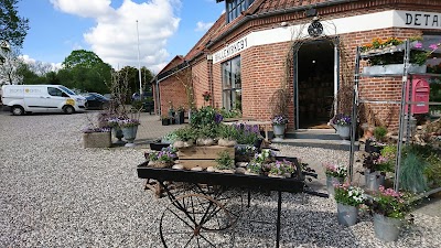 Photos of Blomst & Gren