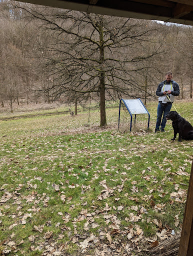 Waldzimmer - Thumbnail