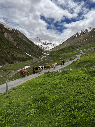 Livigno - Thumbnail