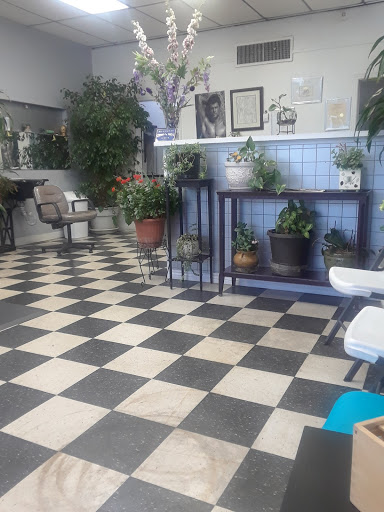 Venus 10 - Visual