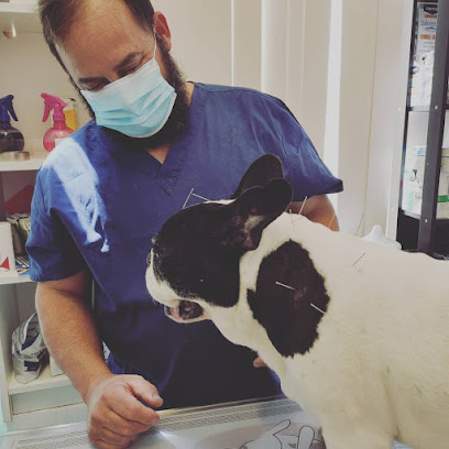 FamilyVet - Veterinário Santa Clara