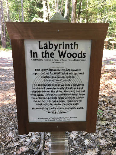 Labyrinth in the Woods - Thumbnail
