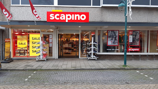 Scapino Budel