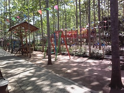 Photos of PT BDI