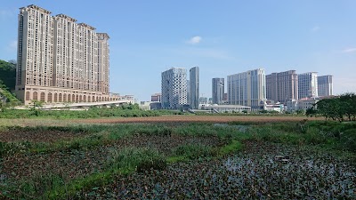 Photos of 氹仔人工濕地公園