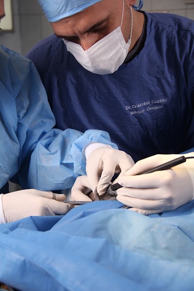 Photos of Bon Amie Veterinary Clinic