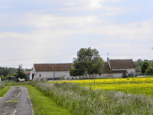 Photo de Maison d'hôtes La Quèrière à Mur-de-Sologne (41230)