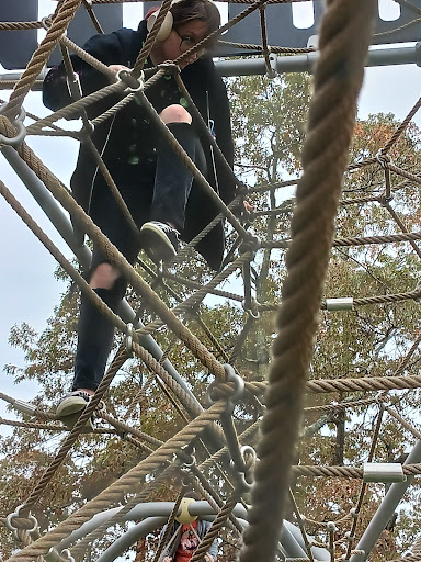 Ted Wright Park - Visual