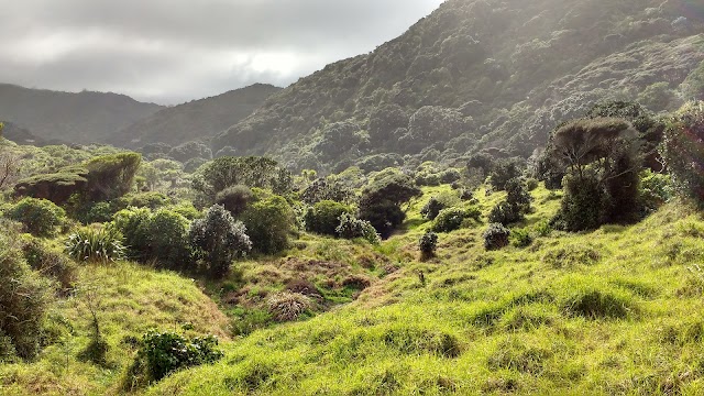 Waitakere Ranges Regional Parkland
