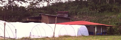 Photos of Grupo Naturalba S.A