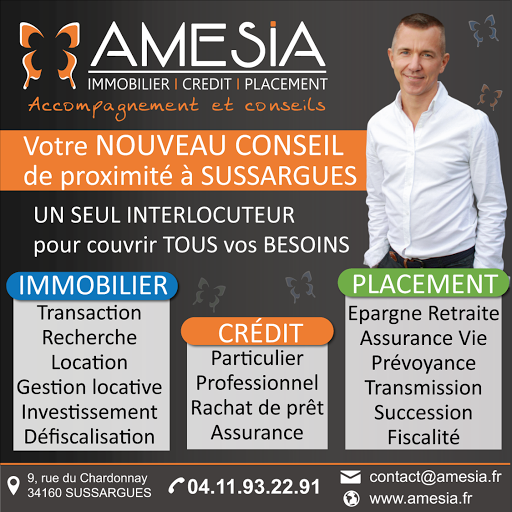 AMESIA - Christian MAISSE - Thumbnail