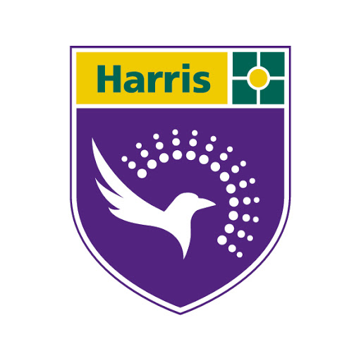 Harris Academy Falconwood - Thumbnail