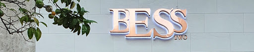 BESS two - Visual