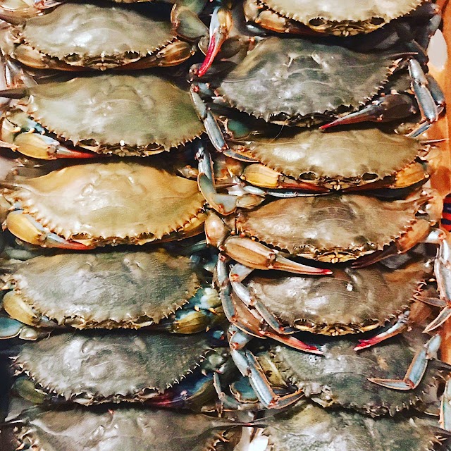 Little Harbor Lobster Company