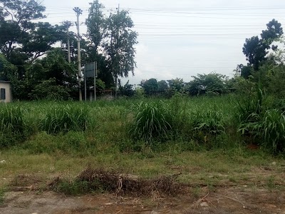 Photos of Konakhola Upazila Bus Stand