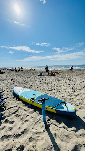 Plage chien - repère 60 - Thumbnail