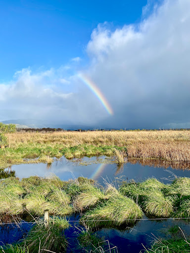 Boggy Pond Wairarapa Moana Wetlands - Thumbnail
