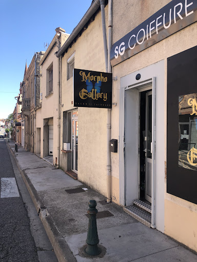 Morpho Gallery - Visual