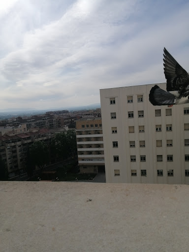 Virgen de las Nieves University Hospital - Thumbnail