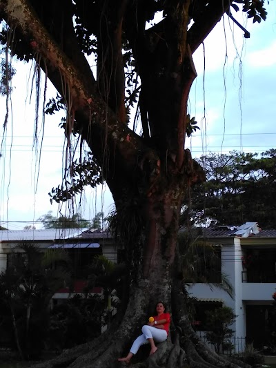 Photos of Parque El Jardin 2