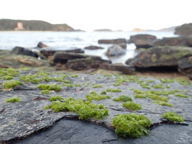 Furuzamami Beach