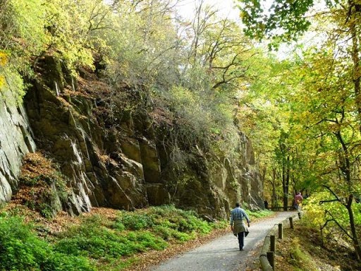 Ferienhof Vennhof - Urlaub auf dem Bauernhof in der Eifel